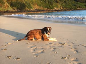 Captain on the beach