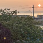 Strega Cottage - 16.5
